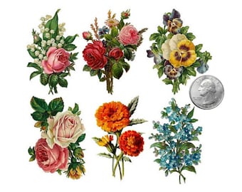 Marigold Tattoo Etsy