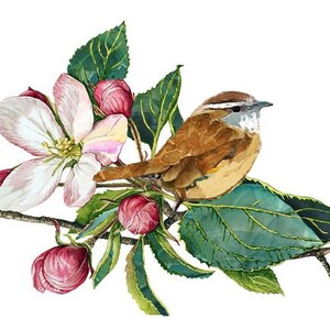 Temporary Tattoo Hummingbird /Chickadee /Finch Various Patterns / Ruby-Throated Hummingbird/ Colorful Birds / Bird Tattoo / Tattoo Flash image 8