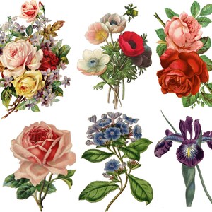 Temporary Tattoo Set of 6 Vintage Floral / Set of 6 Floral - Etsy