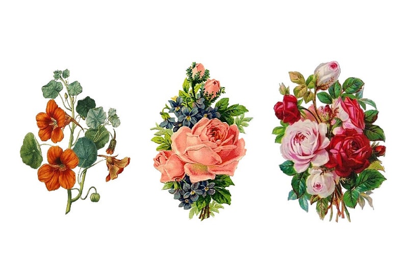 Temporary Tattoo Set of 3 Vintage Floral Pick Your - Etsy