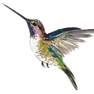 Temporary Tattoo Hummingbird /Chickadee /Finch Various Patterns / Ruby-Throated Hummingbird/ Colorful Birds / Bird Tattoo / Tattoo Flash image 6