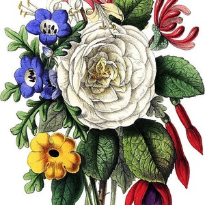 Temporary Tattoo 3 Types of Vintage Florals Various Sizes image 3