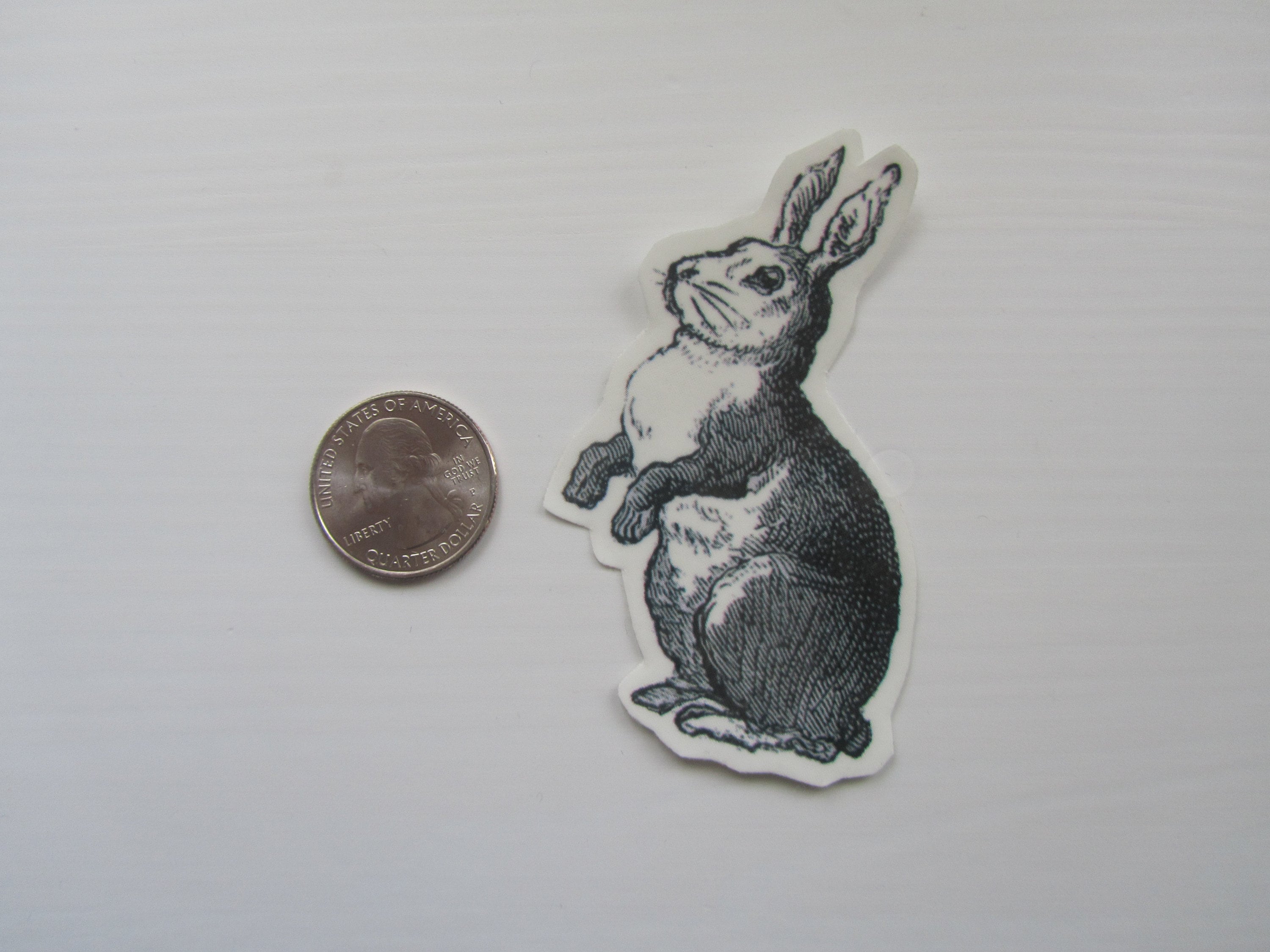 Temporary Tattoo Bunny / Tattoo Flash/ Rabbit / Peter Rabbit - Etsy UK
