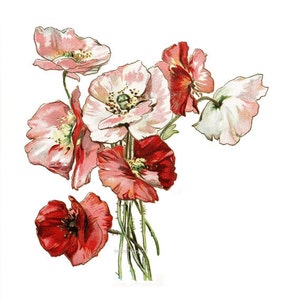 Temporary Tattoo 3 Types of Vintage Florals Various Sizes image 2