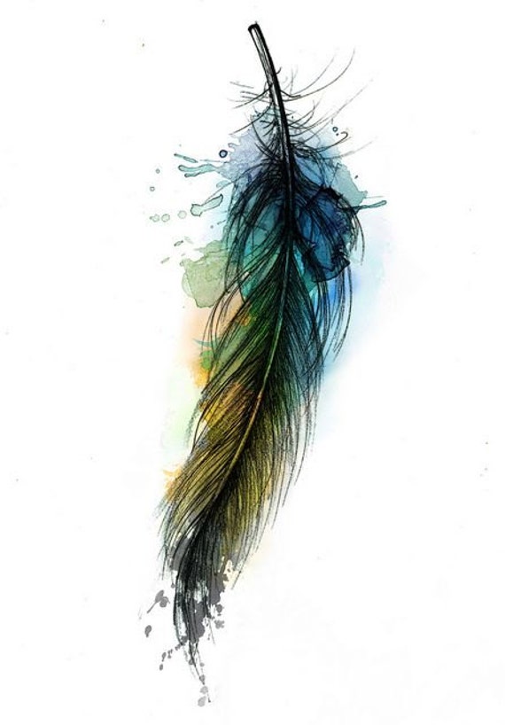 Colored Feather - Colorful, glossy feather on black background - CleanPNG /  KissPNG