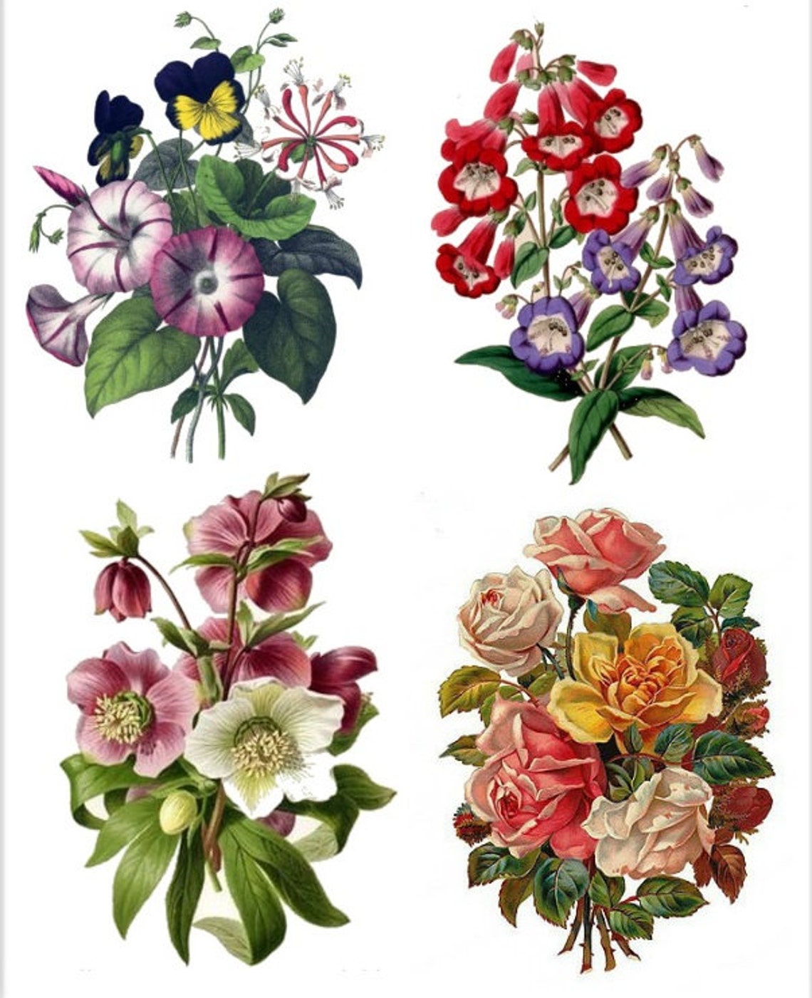 Temporary Tattoo Vintage Floral Various Patterns and Sizes Etsy