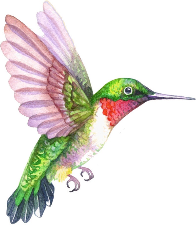 Temporary Tattoo Hummingbird /Chickadee /Finch Various Patterns / Ruby-Throated Hummingbird/ Colorful Birds / Bird Tattoo / Tattoo Flash image 10
