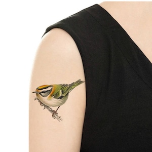 Temporary Tattoo -  Watercolor Green Bird  - Various Patterns / Tattoo Flash