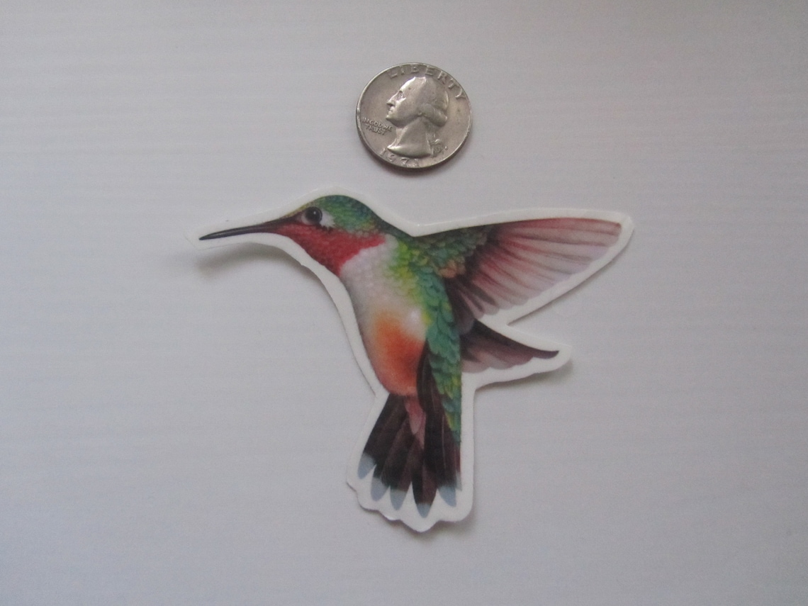 Temporary Tattoo Hummingbird Various Patterns / Etsy