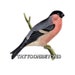 Właściciel(ka) sklepu <a href='https://www.etsy.com/pl/shop/TattooNbeyond?ref=l2-about-shopname&from_page=listing' class='wt-text-link'>TattooNbeyond</a>