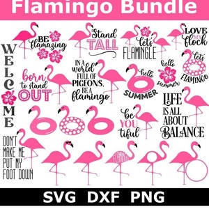 Flamingo SVG Bundle, Flamingo Float, Summer, Porch Sign, Instant Download, Cut Files, Sublimation, Flamingo Clipart (24 svg/png/dxf files)