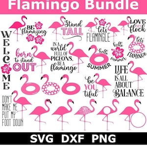 Flamingo SVG/PNG Bundle, Flamingo Float, Summer, Instant Download, Cut Files, Sublimation, Flamingo Clipart, 24 Designs