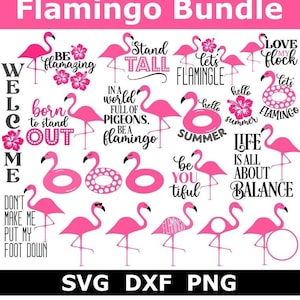 Flamingo SVG Bundle, Flamingo Float, Summer, Porch Sign, Instant Download, Cut Files, Sublimation, Flamingo Clipart (24 svg/png/dxf files)