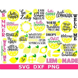 Lemon SVG Bundle, Hello Summer SVG, Porch Sign SVG, Digital Download, Cut Files, Sublimation, Clip Art (includes 35 svg/png/dxf files)