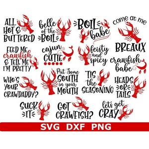 Crawfish SVG Bundle, Crawfish Boil SVG, Summer SVG, Digital Download, Cut Files, Sublimation, Clipart (15 individual svg/png/dxf files)