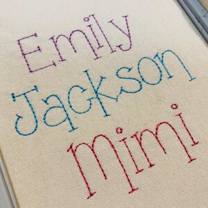 May include: An embroidery hoop containing off-white fabric with the name Emily stitched in purple, the name Jackson stitched in blue, and the name Mimi stitched in red. The lettering features a simple outline style with visible stitch details.