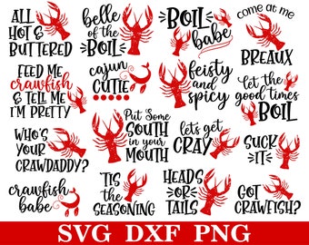 Lot d'écrevisses SVG, écrevisses ébullition SVG, SVG d'été, téléchargement immédiat, fichiers de coupe, sublimation, clipart (16 fichiers svg/png/dxf individuels)