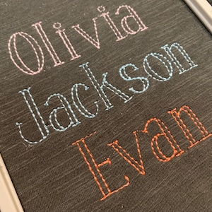 May include: A dark gray fabric surface featuring three embroidered names in a double-line stitch style. The name Olivia is stitched in light pink, Jackson in light blue, and Evan in orange, all contained within a white embroidery hoop frame.