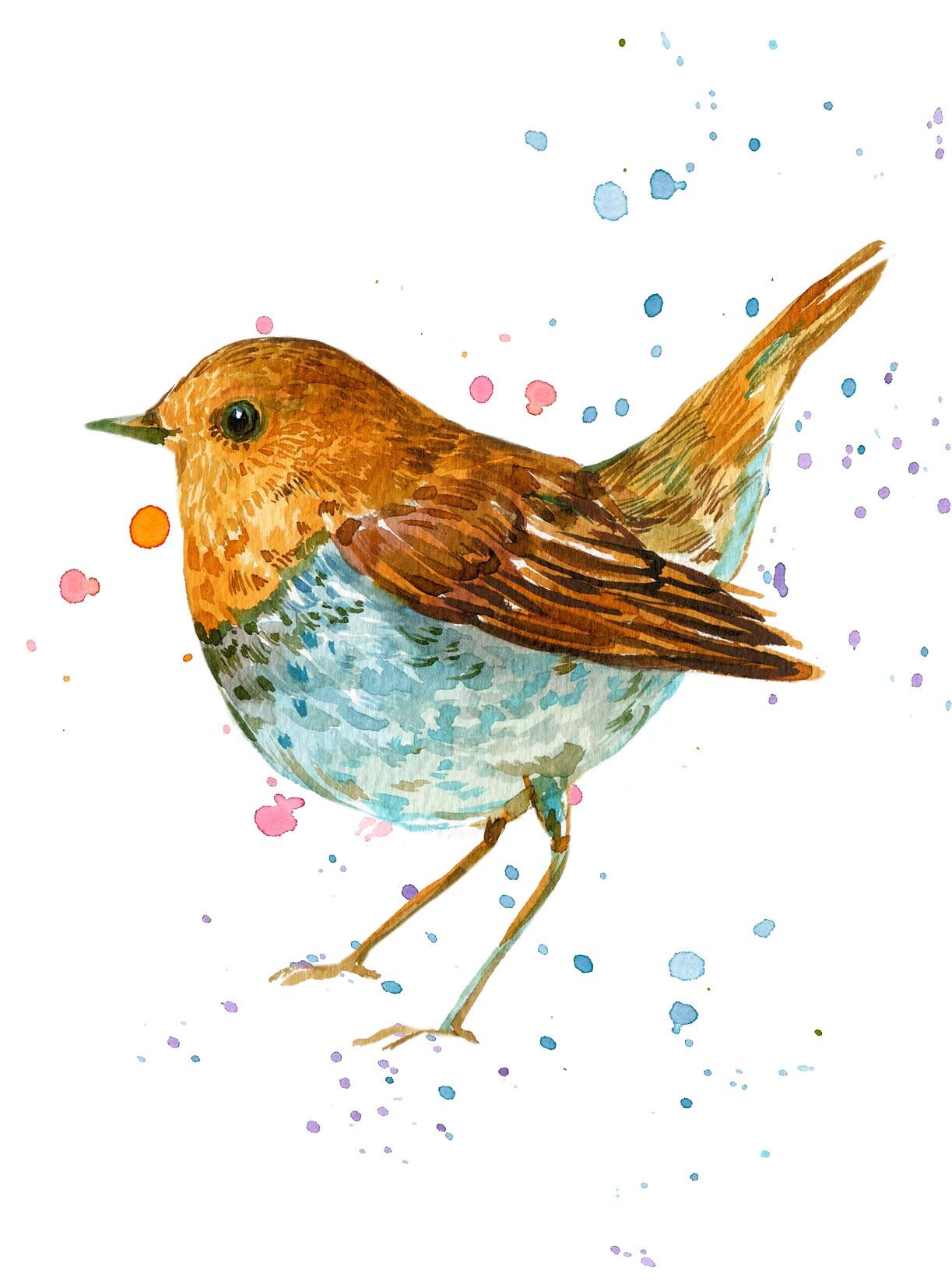Watercolor Robin Bird Greeting Card - Etsy