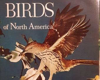 Song and Garden Birds of North America by National Geographic