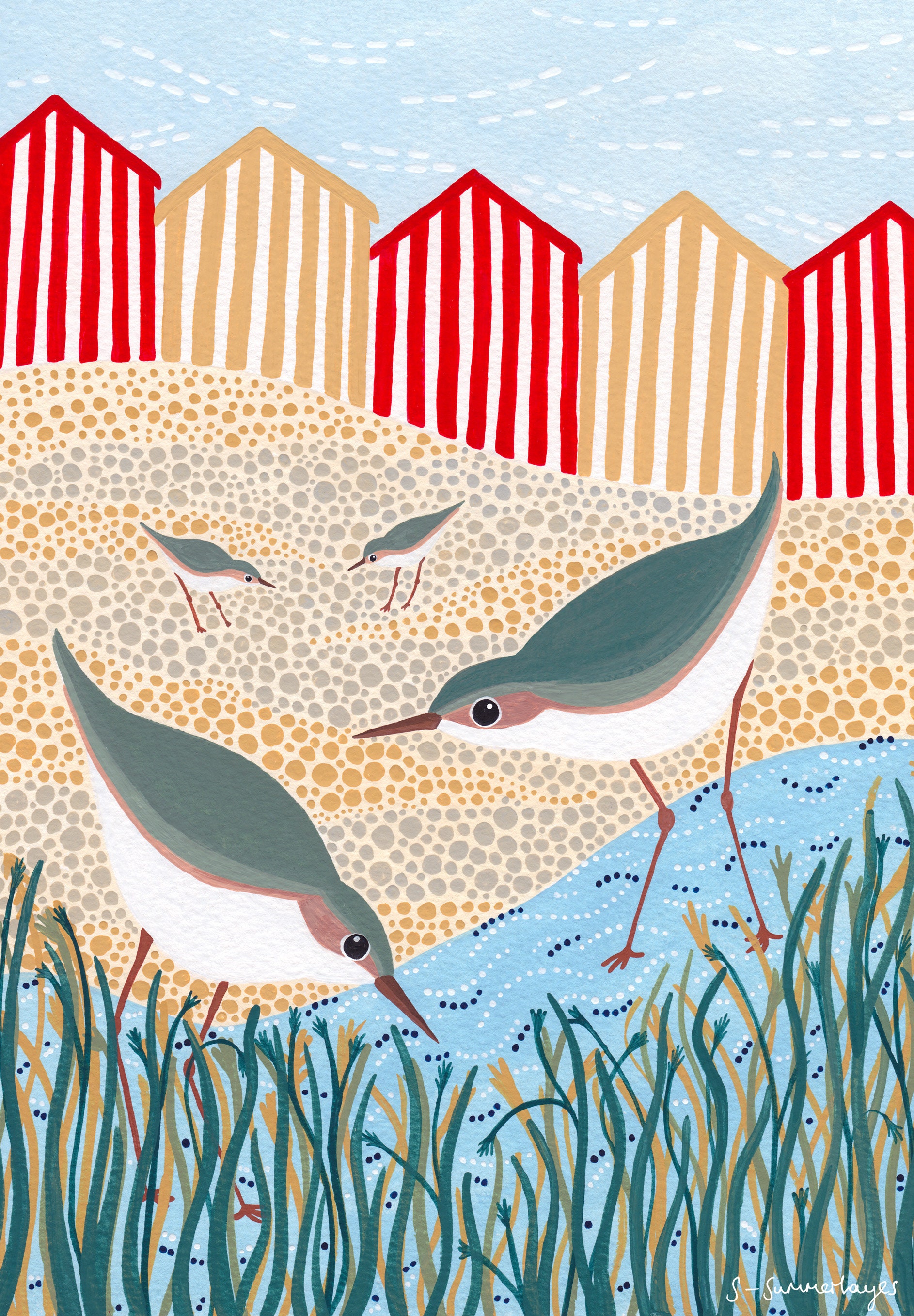 Beach Birds Art Print / Bird Art / Bird Illustration / Bird Etsy