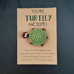 Pocket Hug Tiny Turtle - Emotional Support - Positivity - Card