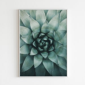 Close Up Agave Poster , Botanical Poster , Succulent Printable , Cactus Flower Photograph , Botanical Macro Photo , Aloe Vera Print Wall Art