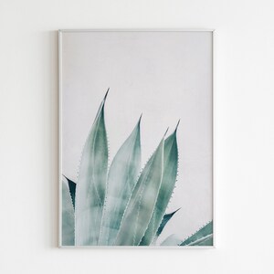 Agave Leaves Poster , Botanical Poster , Succulent Printable , Cactus Flower Photograph , Botanical Macro Photo , Aloe Vera Print Wall Art