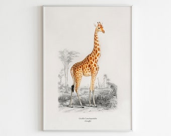 Giraffe Printable Wall Art, Giraffe Illustration, Tropical Wall Art, Safari Nursery Wall Art, Baby Giraffe Nursery Decor, Vintage Animal Art
