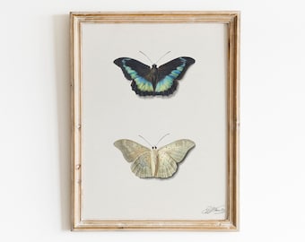 Antique Butterfly Printable Painting,Butterfly Artwork,Insect Print,Vintage Butterfly Artwork,Eclectic Print,Bohemian,Gallery Wall,Moth Art