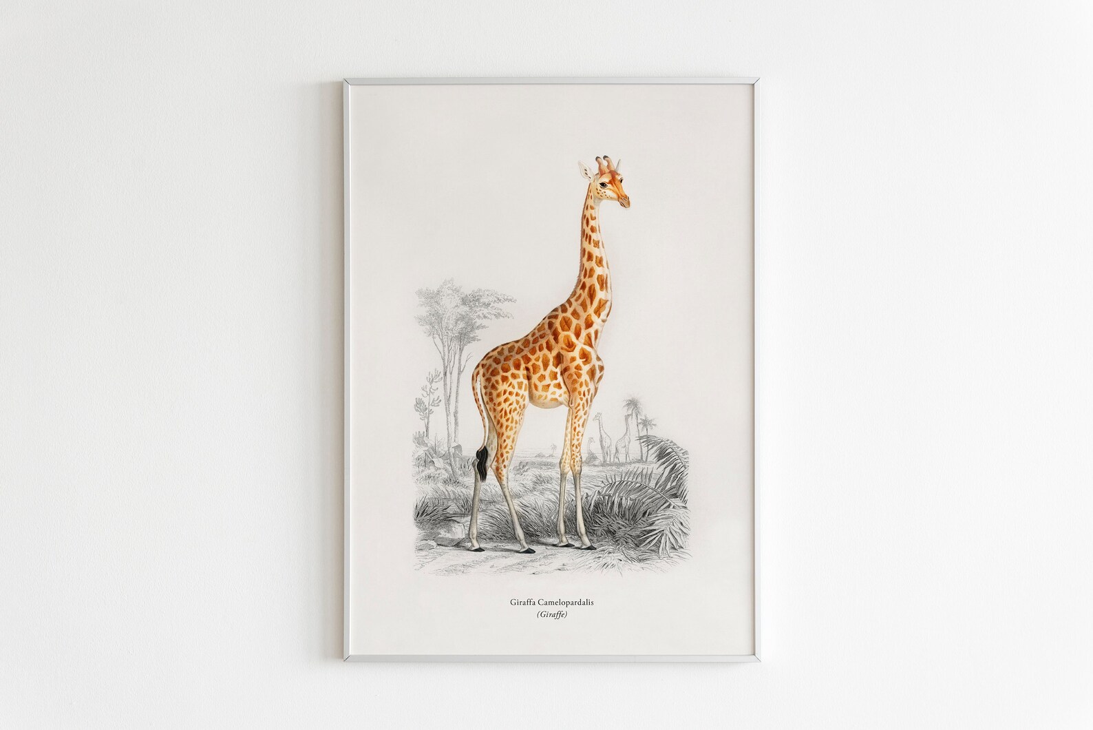Giraffe Printable Wall Art Giraffe Illustration Tropical | Etsy