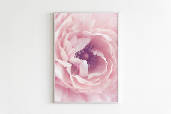 Close Up Pink Flower Poster | Pink Flower Photograph | Botanical Poster | Peony Printable | Botanical Macro Photo | Pink Peony Wall Art