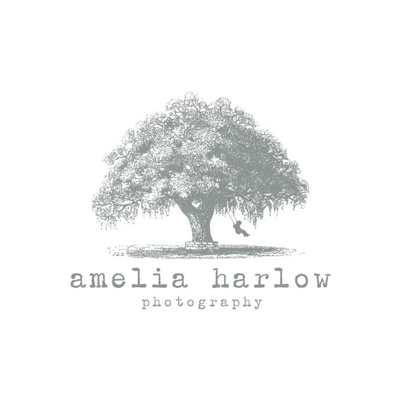 rhododendron showgirl Bessie Howells Rhododendron main image 0