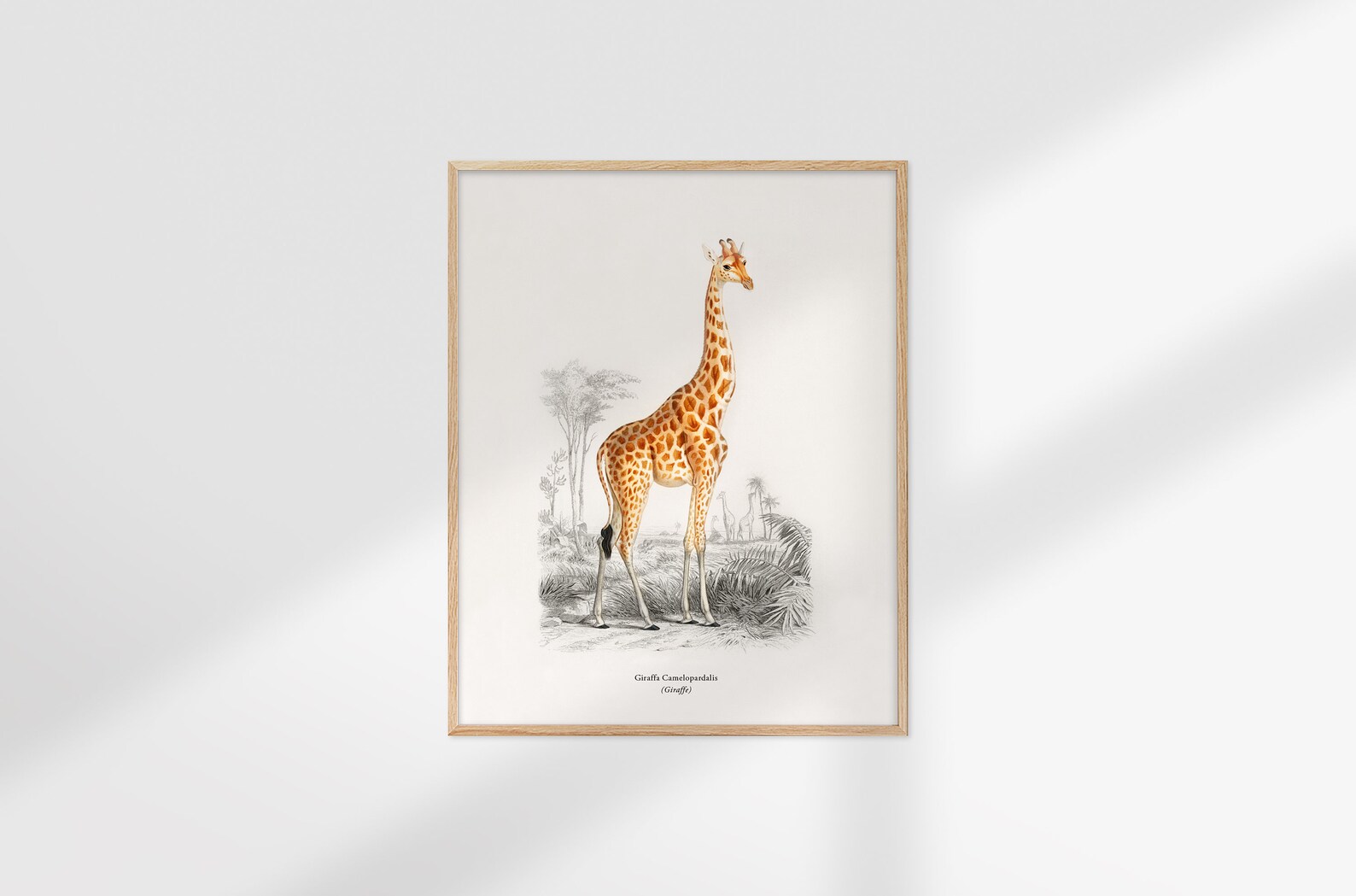 Giraffe Printable Wall Art Giraffe Illustration Tropical | Etsy