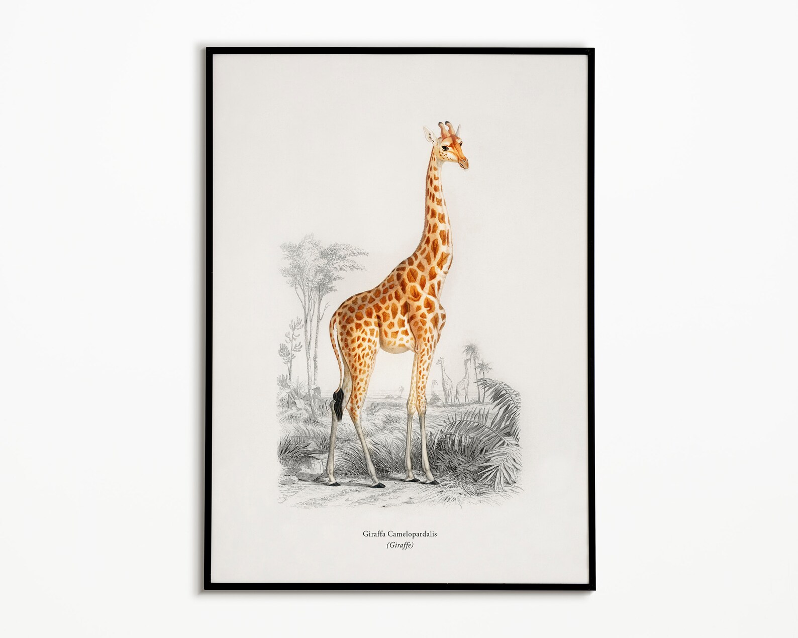 Giraffe Printable Wall Art Giraffe Illustration Tropical | Etsy