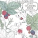 New : Brambly Hedge Festive Coloring Book - Etsy