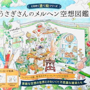 New : Rabbit's Fairy Tale Fantasy Picture Book japanese colouring book