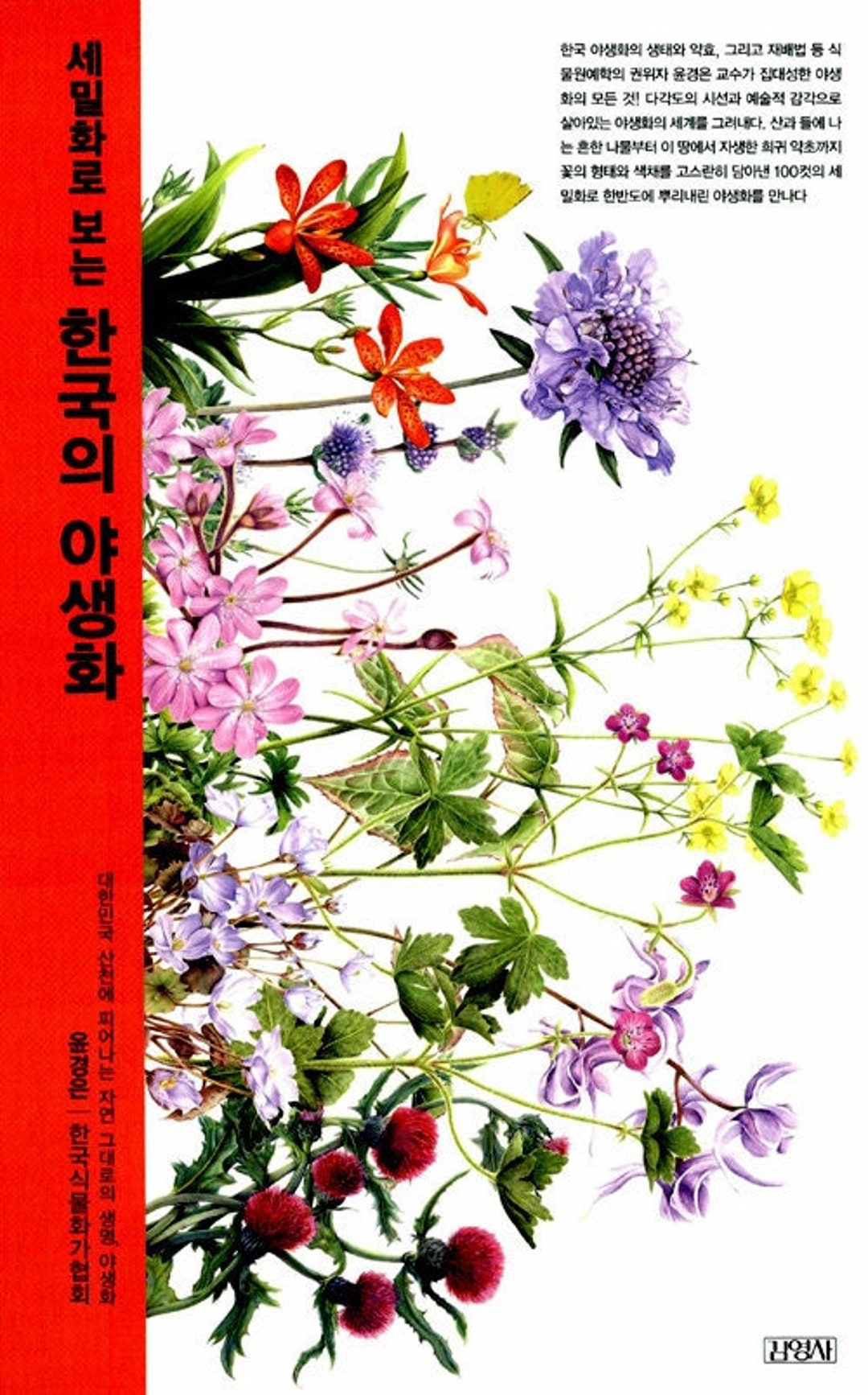Korean Wildflower Botanical Art Book Etsy