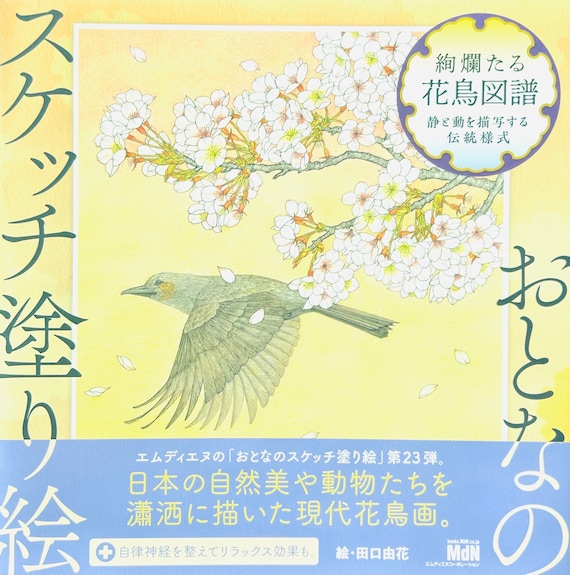 Adult sketch coloring book Japanese coloring book