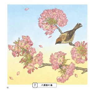 Livre de coloriage croquis pour adultes Livre de coloriage japonais image 5