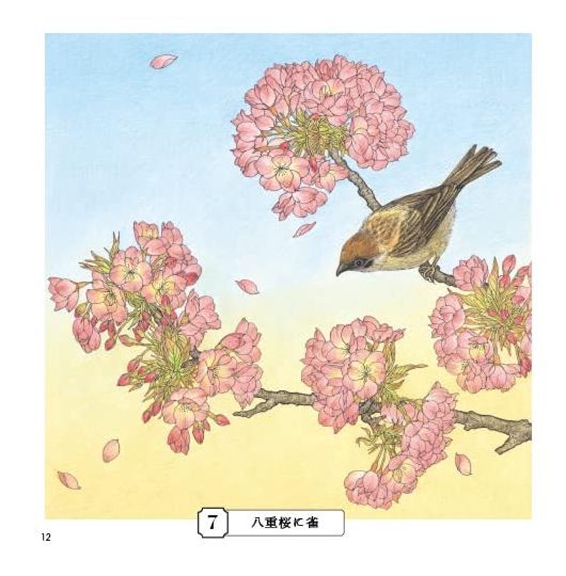 Livre de coloriage croquis pour adultes Livre de coloriage japonais image 5