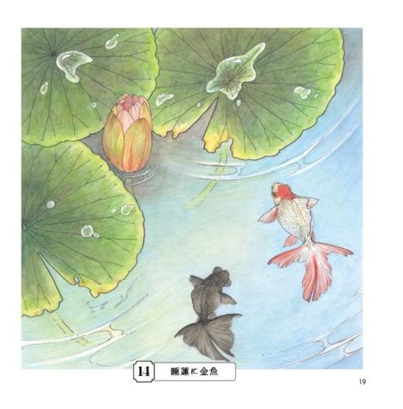 Livre de coloriage croquis pour adultes Livre de coloriage japonais image 7
