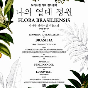 Flora Brasilliensis - Tropical coloring book