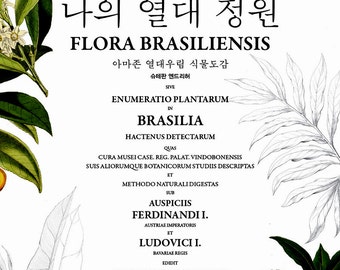 Flora Brasilliensis - Tropical coloring book