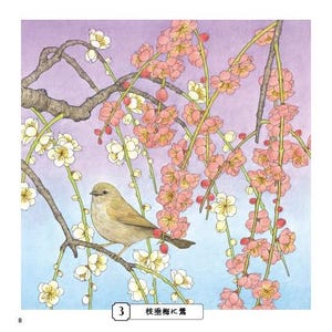 Livre de coloriage croquis pour adultes Livre de coloriage japonais image 2