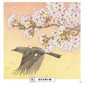 Livre de coloriage croquis pour adultes Livre de coloriage japonais image 4