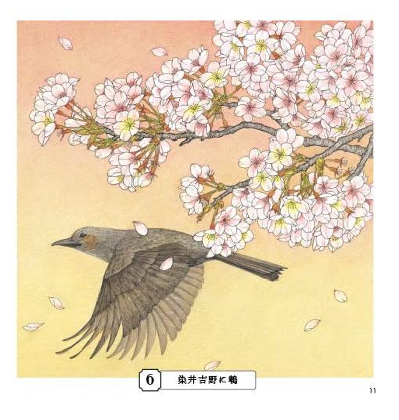 Livre de coloriage croquis pour adultes Livre de coloriage japonais image 4
