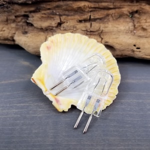 35 Watt Halogen Bulb - Replacement Bulb for Electric Warmers