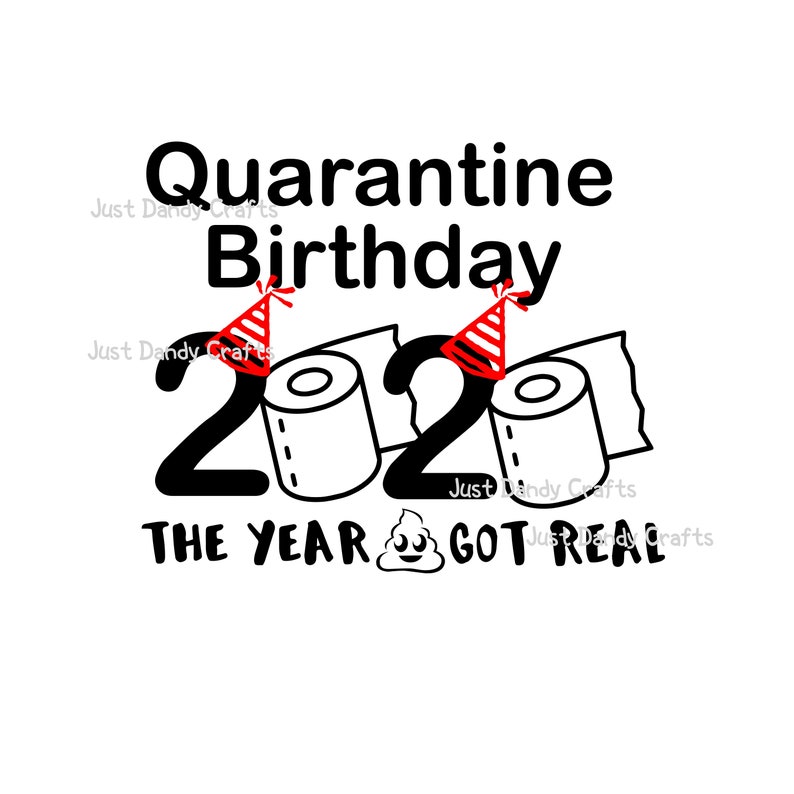 Download Quarantine Birthday 2020 SVG Cut File for Silhouette and | Etsy
