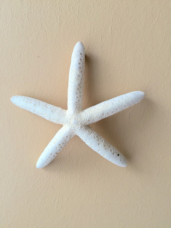 Coastal Starfish Wall Decoration Beach Decor Nautical Decor Etsy